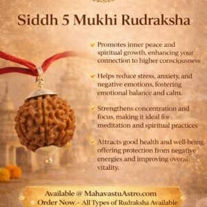 Rudraksha